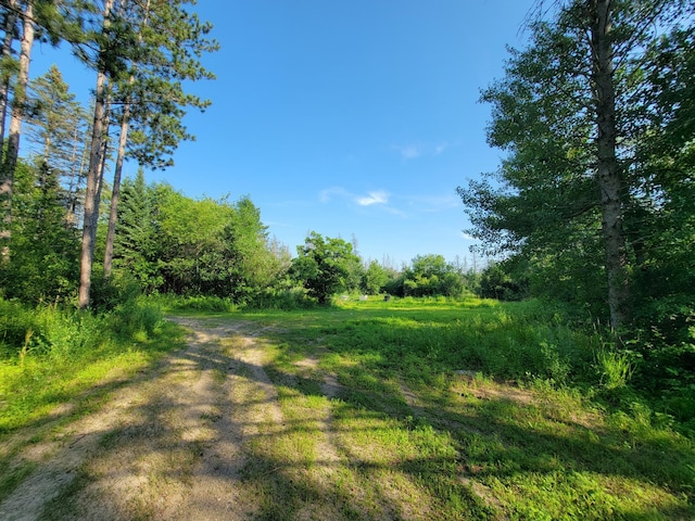 32738 US-71, Menahga, MN 56464 - photo 90