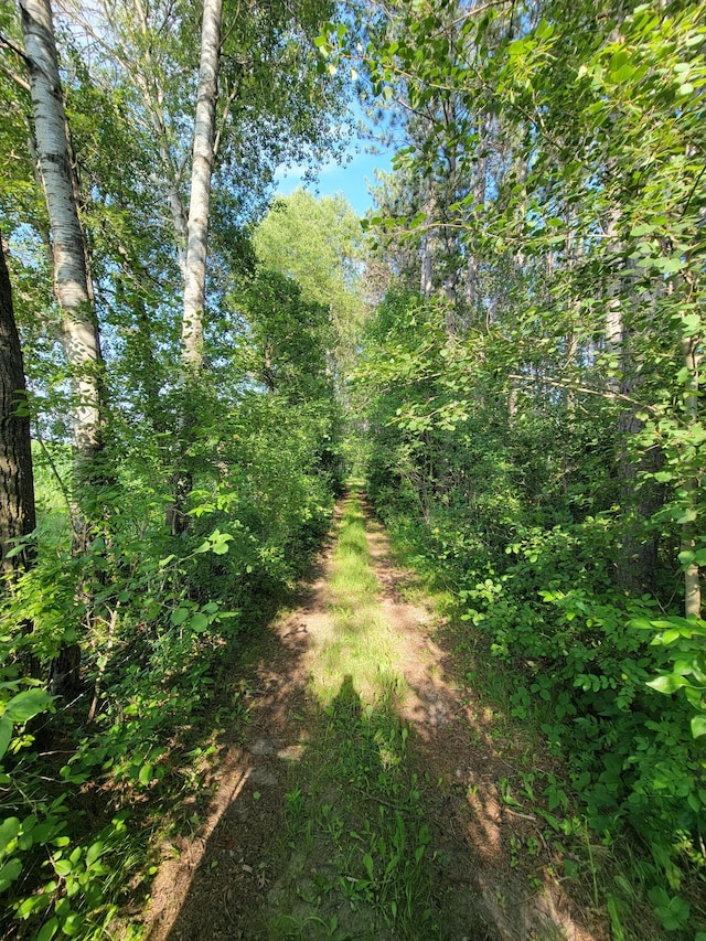 32738 US-71, Menahga, MN 56464 - photo 91