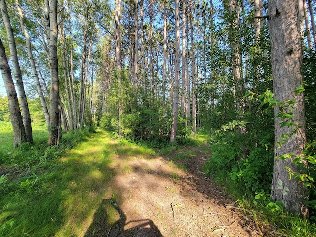 32738 US-71, Menahga, MN 56464 - photo 92
