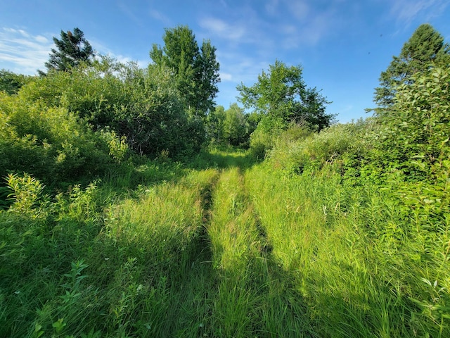 32738 US-71, Menahga, MN 56464 - photo 93