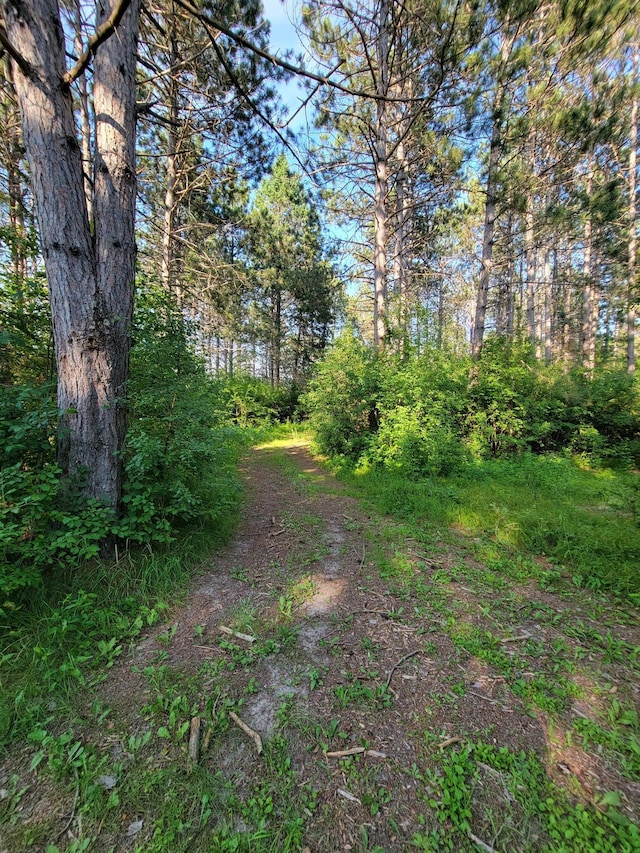 32738 US-71, Menahga, MN 56464 - photo 95