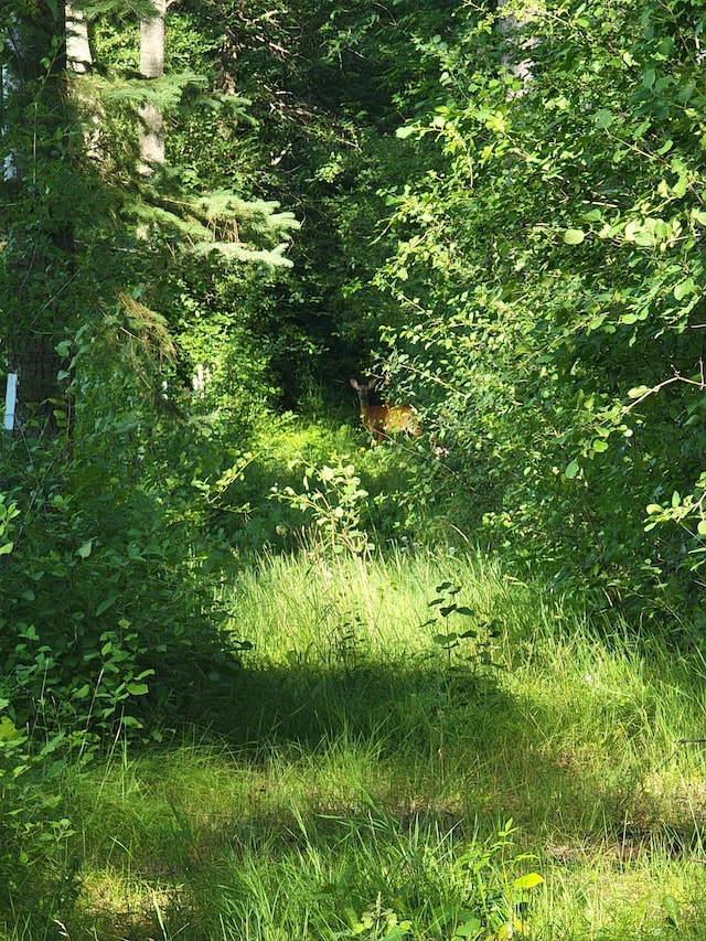32738 US-71, Menahga, MN 56464 - photo 97