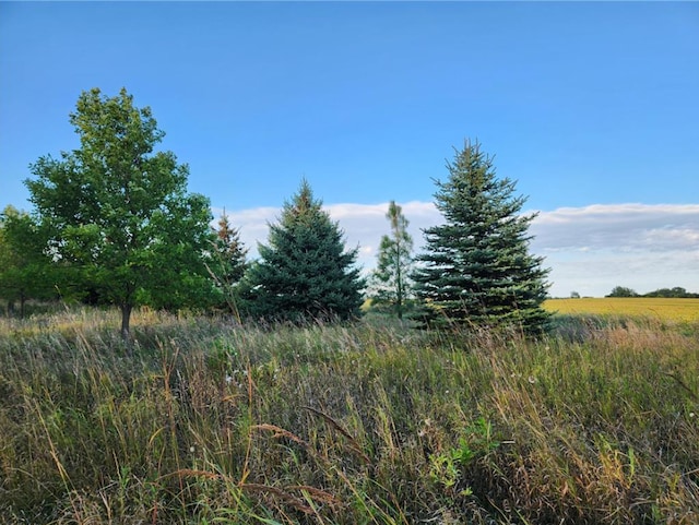 TBD 120th St, Balaton, MN 56115