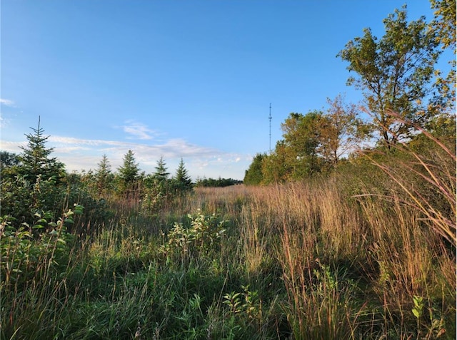 TBD 120th St, Balaton, MN 56115
