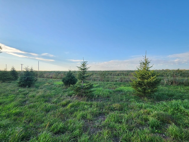 TBD 120th St, Balaton, MN 56115