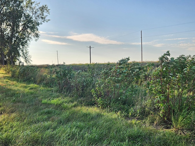 TBD 120th St, Balaton, MN 56115