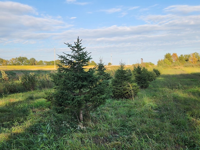 TBD 120th St, Balaton, MN 56115