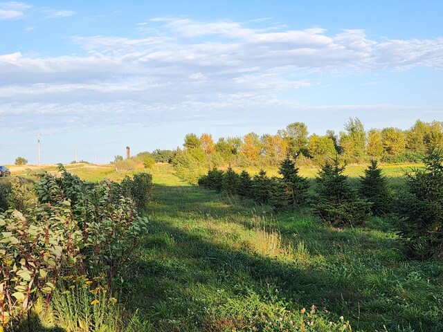 TBD 120th St, Balaton, MN 56115