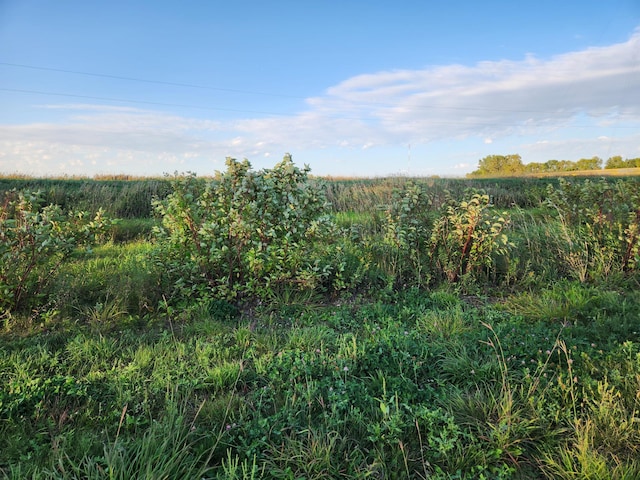 TBD 120th St, Balaton, MN 56115