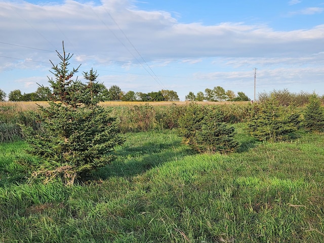 TBD 120th St, Balaton, MN 56115