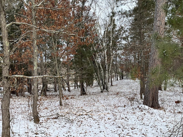 TBD Town Hall St, Crow Wing Twp, MN 56401 - photo 2