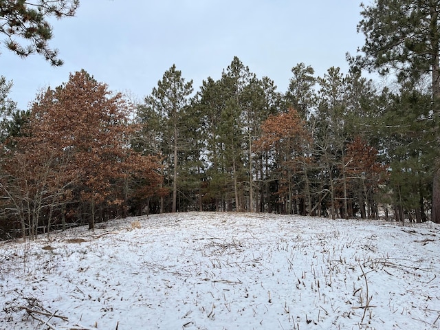 TBD Town Hall St, Crow Wing Twp, MN 56401 - photo 6