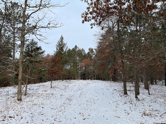 TBD Town Hall St, Crow Wing Twp, MN 56401 - photo 7