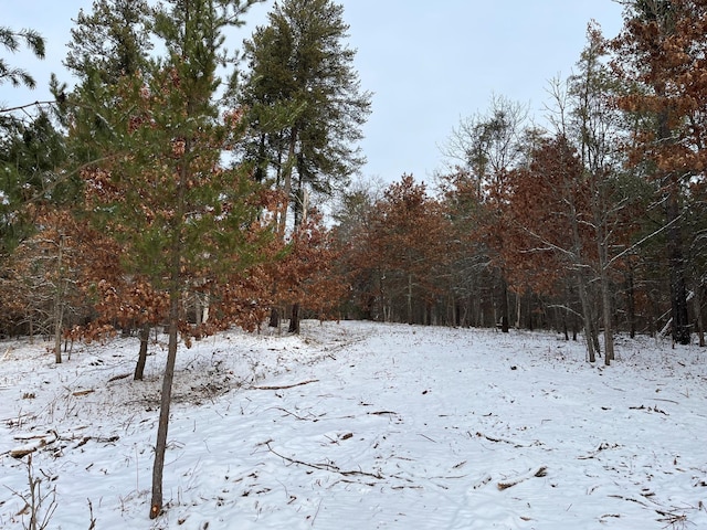 TBD Town Hall St, Crow Wing Twp, MN 56401 - photo 9