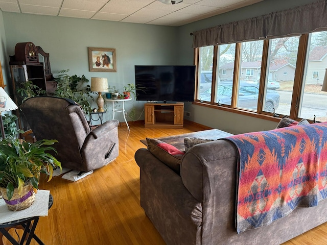 living room with hardwood / wood-style flooring and a drop ceiling