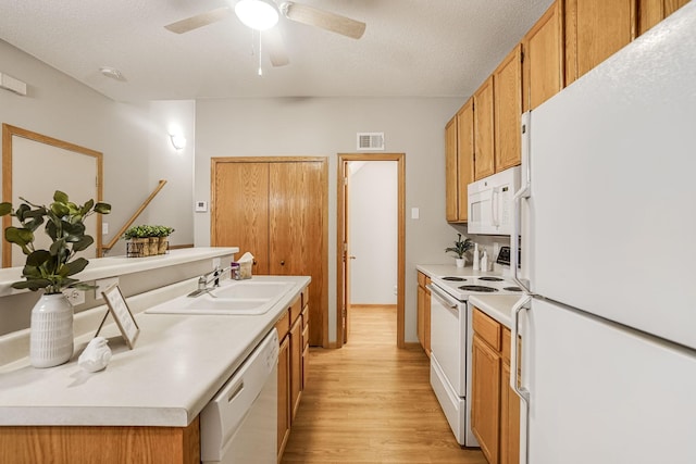 kitchen with ceiling fan, sink, light hardwood / wood-style flooring, a textured ceiling, and white appliances