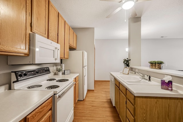 kitchen with white appliances, sink, light hardwood / wood-style flooring, ceiling fan, and a textured ceiling