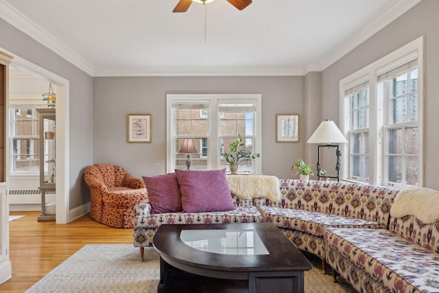 living room featuring crown molding, ceiling fan, and light wood-type flooring