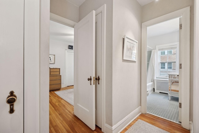 hallway with hardwood / wood-style flooring