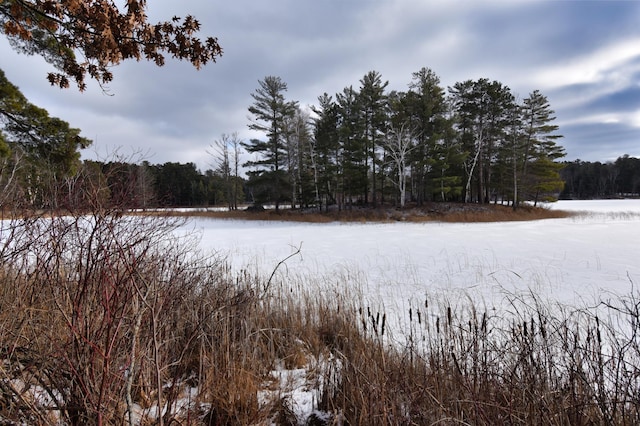 22510 Spider Is, Mantrap Twp, MN 56467 - water view with a forest