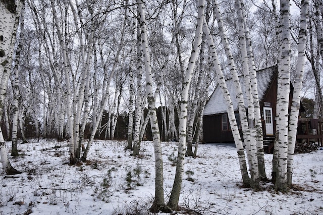 view of snow covered land