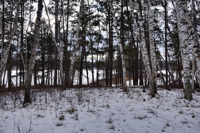 22510 Spider Is, Mantrap Twp, MN 56467 - snowy landscape