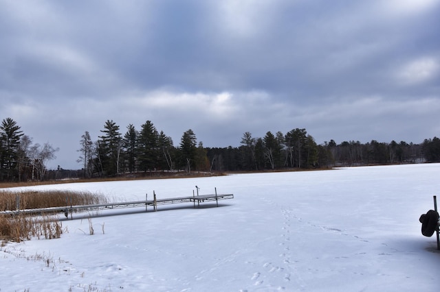 22510 Spider Is, Mantrap Twp, MN 56467 - snowy yard with a view of trees