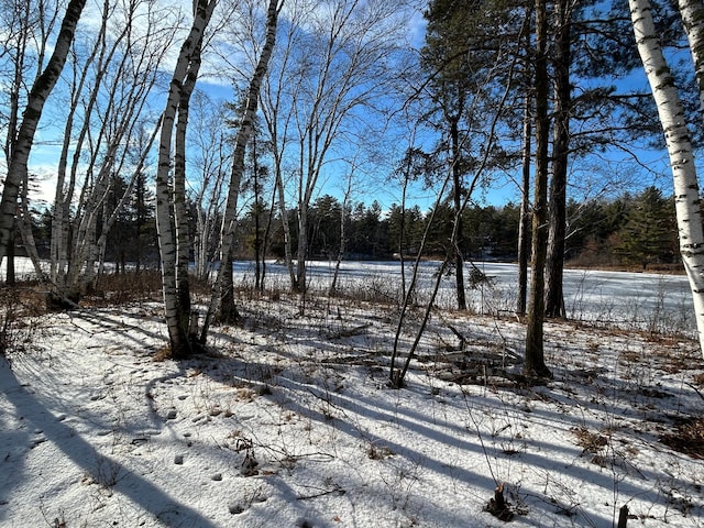 view of snowy yard