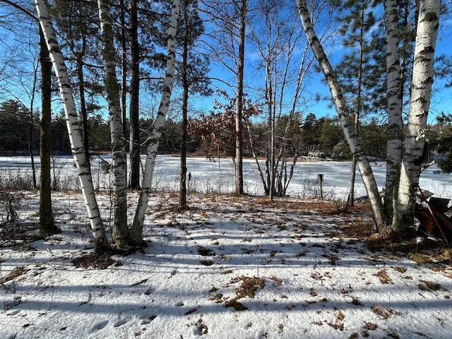 view of snowy yard