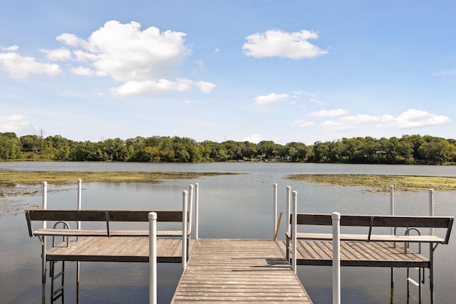 dock area featuring a water view