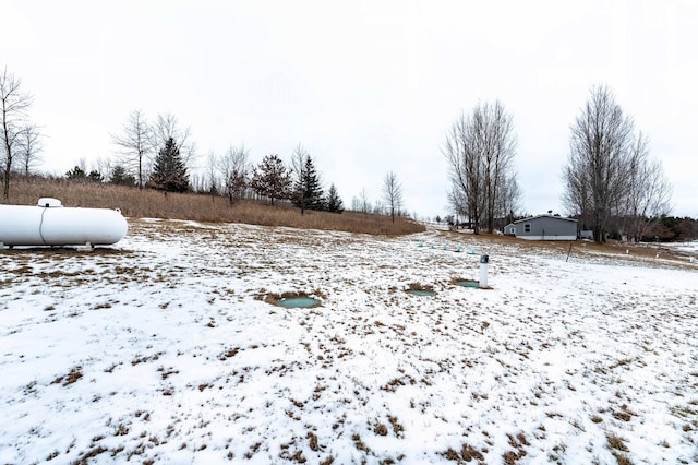 view of yard layered in snow