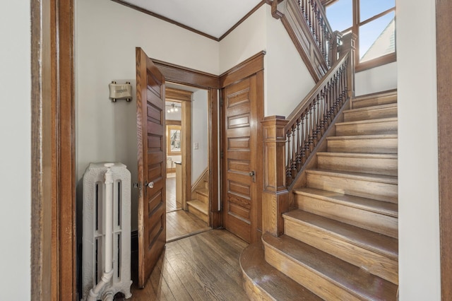 entryway with dark hardwood / wood-style flooring, radiator, and ornamental molding