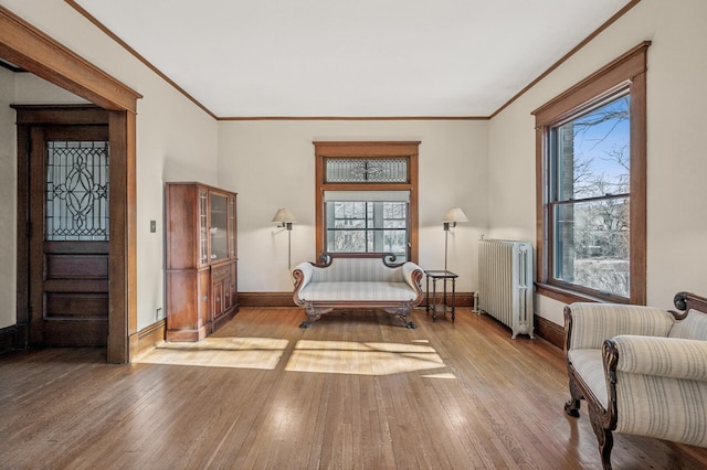 sitting room with light hardwood / wood-style flooring, radiator heating unit, and ornamental molding