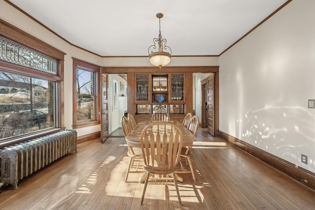 dining area featuring hardwood / wood-style floors, radiator heating unit, and ornamental molding