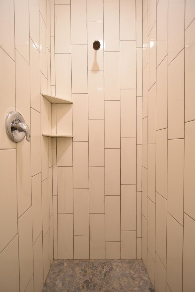 106 Fairway St, Zumbrota, MN 55992 - bathroom featuring tiled shower