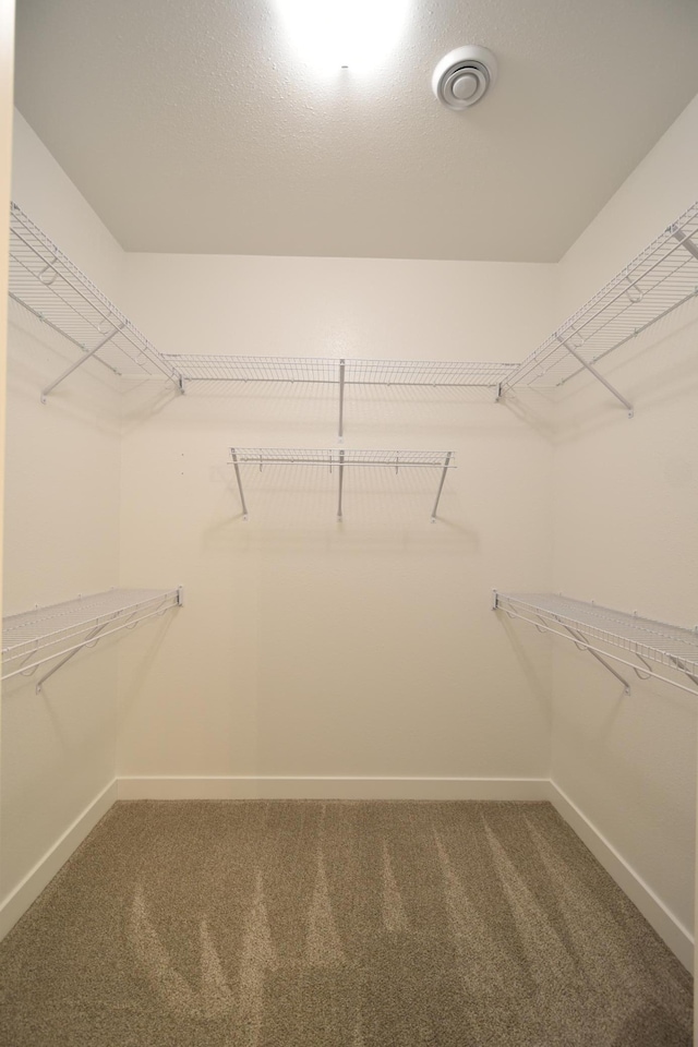 106 Fairway St, Zumbrota, MN 55992 - spacious closet with carpet floors