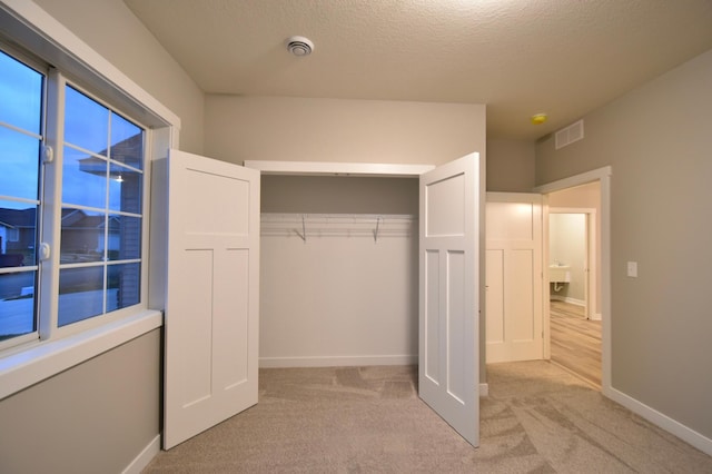 106 Fairway St, Zumbrota, MN 55992 - view of closet