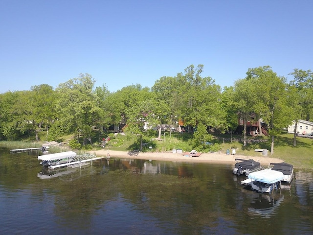 dock area with a water view