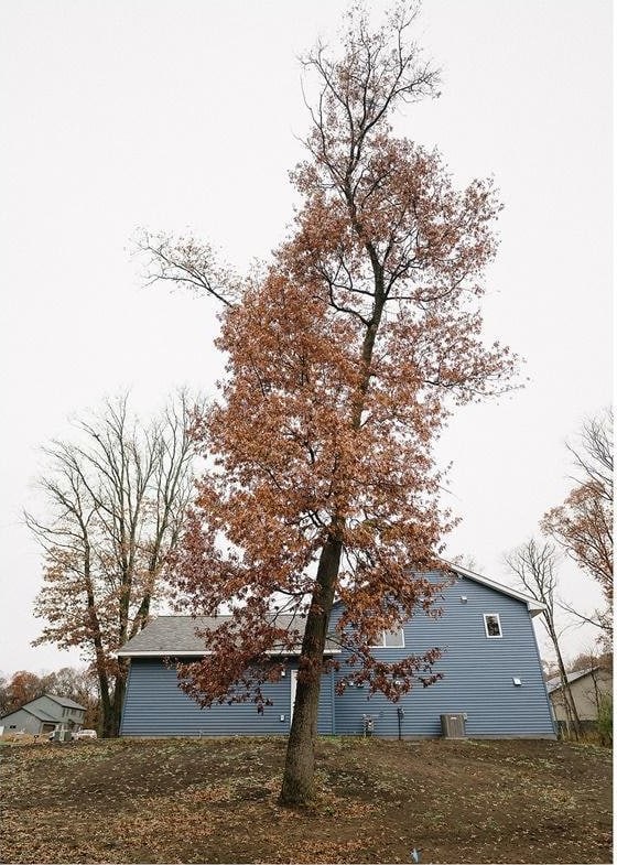 view of home's exterior