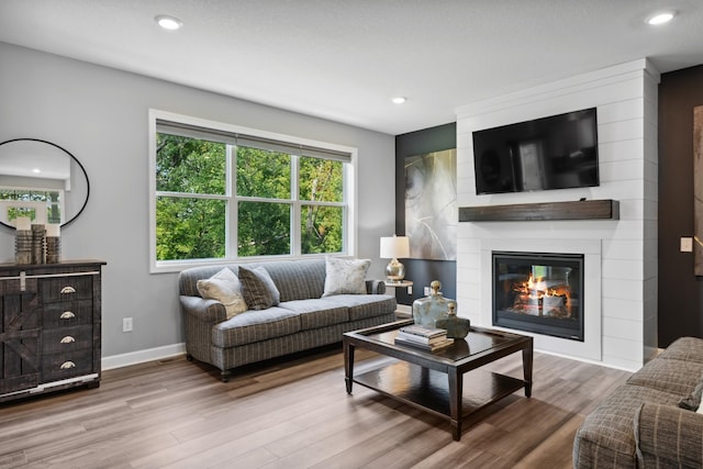 living room featuring a fireplace and hardwood / wood-style floors