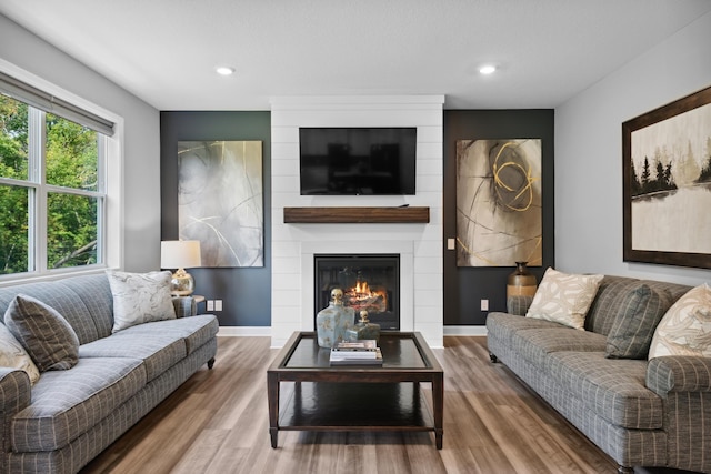 living room with a fireplace and wood-type flooring