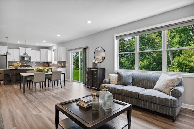 living room featuring light hardwood / wood-style floors