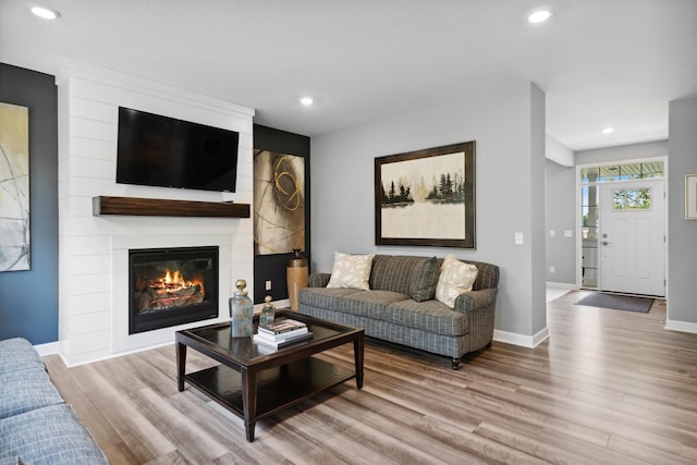 living room featuring a fireplace and light wood-type flooring