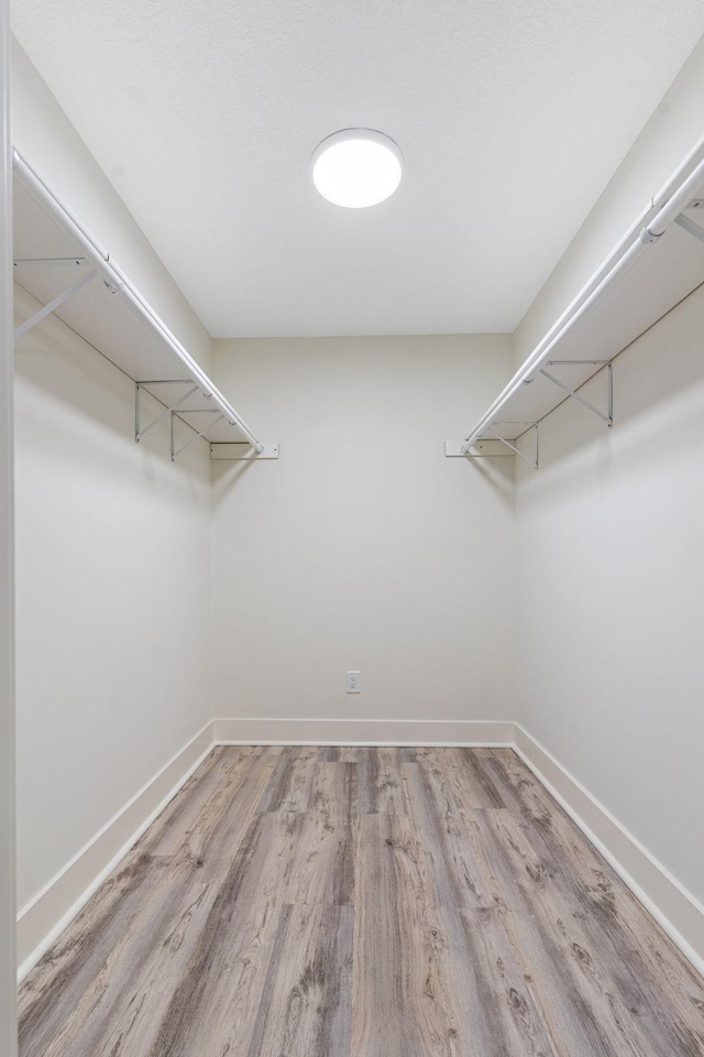 walk in closet with light hardwood / wood-style flooring