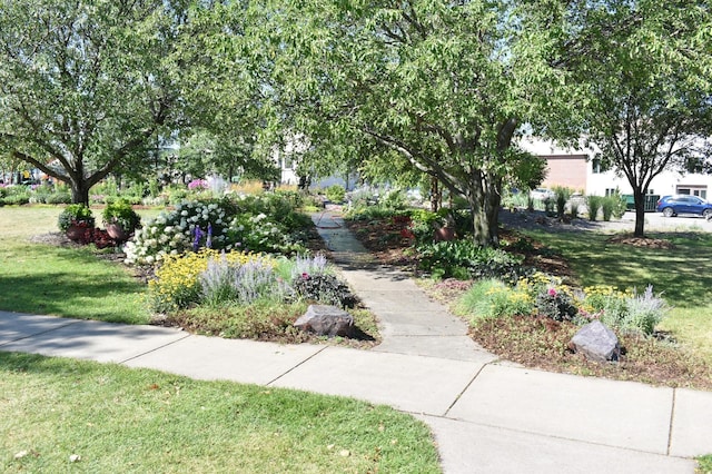 view of property's community with a lawn