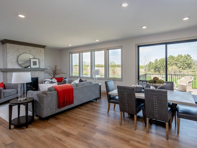 living room featuring wood-type flooring