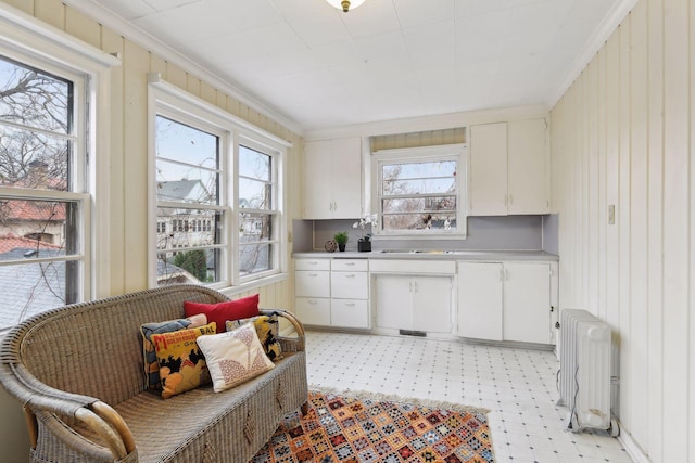 kitchen featuring white cabinetry, radiator, and a wealth of natural light