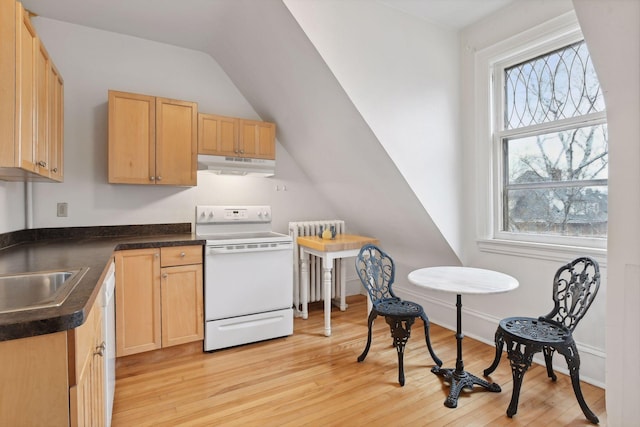 kitchen with stove, light hardwood / wood-style floors, a wealth of natural light, and radiator