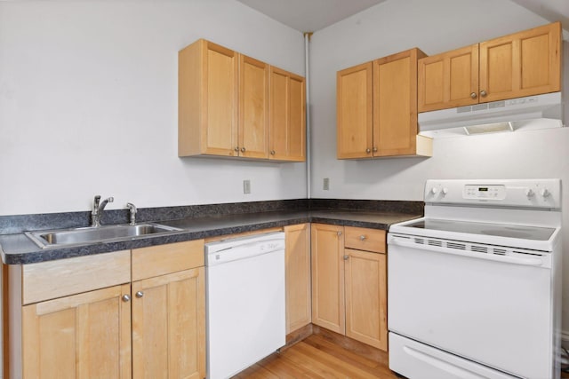 kitchen featuring light brown cabinetry, sink, white appliances, and light wood-type flooring