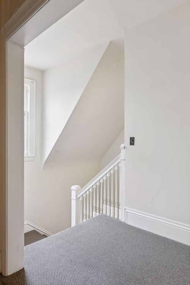 stairs featuring carpet flooring